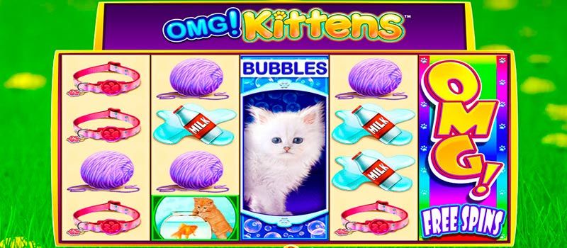 OMG! kittens - slot machine